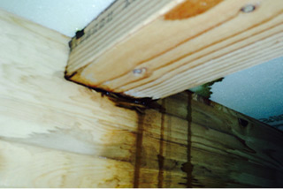 雨漏りは放置すると家の大切な構造体（柱や梁など）が腐食します！